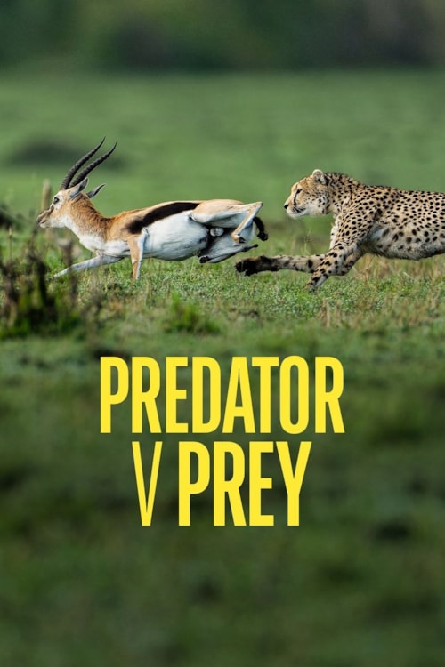 Predator v Prey poster